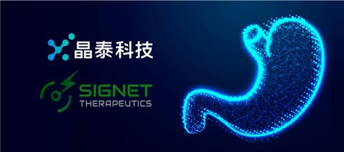 晶泰科技攜手希格生科，推動彌漫性胃癌項目獲重大進展